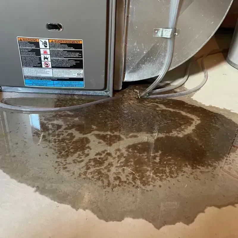 Appliance Leak Cleanup in Malta, IL